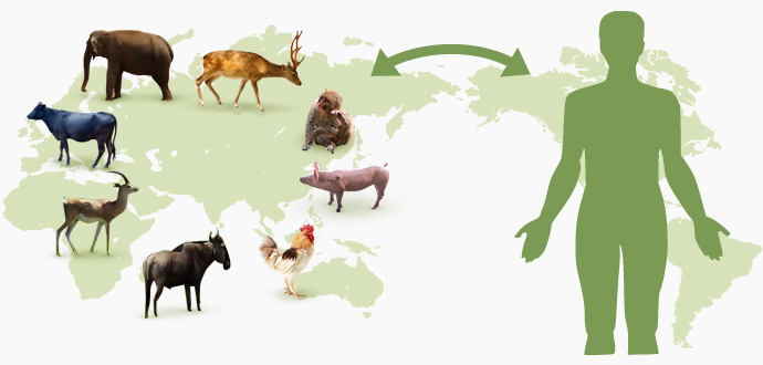 Zoonosis