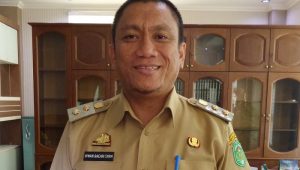 Wakil Bupati Luwu Timur, Irwan Bachri Syam (Ibas).
