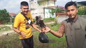 Tangkapan layar prank sampah daging kurban di chanel youtube milik Edo Putra.