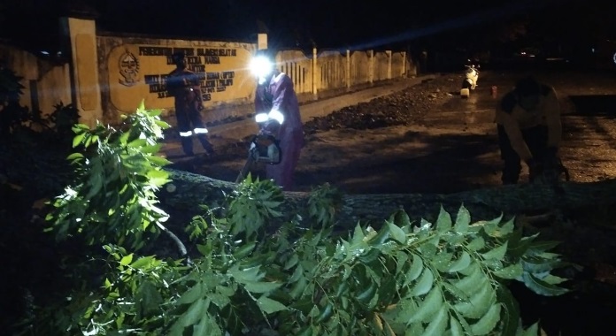 Pohon tumbang di Jalan Imam Bonjol, Kota Palopo, Selasa (17/11/2020) malam.