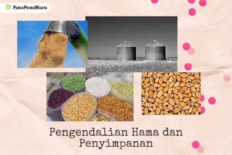 obat kutu kopi