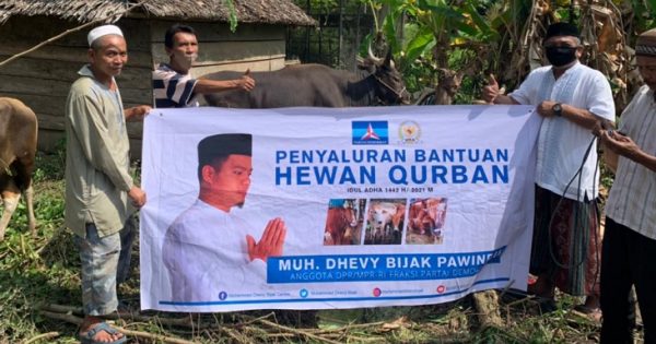 Dhevy Bijak kurban 16 ekor sapi yang disebar ke sejumlah masjid di Kabupaten Luwu, serta untuk Lapas Kota Palopo.