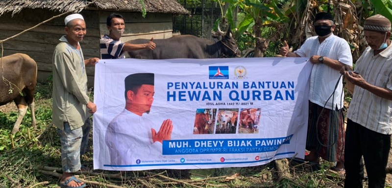 Dhevy Bijak kurban 16 ekor sapi yang disebar ke sejumlah masjid di Kabupaten Luwu, serta untuk Lapas Kota Palopo.
