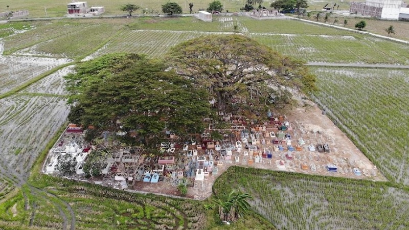 Kuburan Wala Sidrap di tengah sawah. (Muhammad Fauzy Saad)