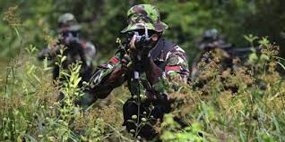 ilustrasi TNI