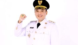 Wakil Wali Kota Bandung