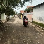 WhatsApp Image 2026-01-10 at 15.16.17