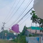 WhatsApp Image 2026-01-20 at 20.47.58