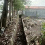 WhatsApp Image 2026-01-22 at 08.51.13