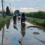 Jalur Limbangan-Kersana Jember