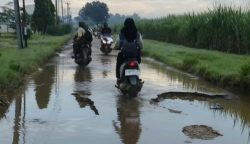 Jalur Limbangan-Kersana Jember