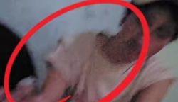 Tangkapan layar Video Tiktok ‎RTV Global.(dok Istimewa)