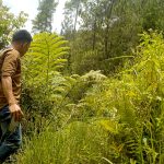 Program Wanatani di Mamasa