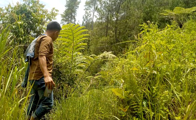 Program Wanatani di Mamasa