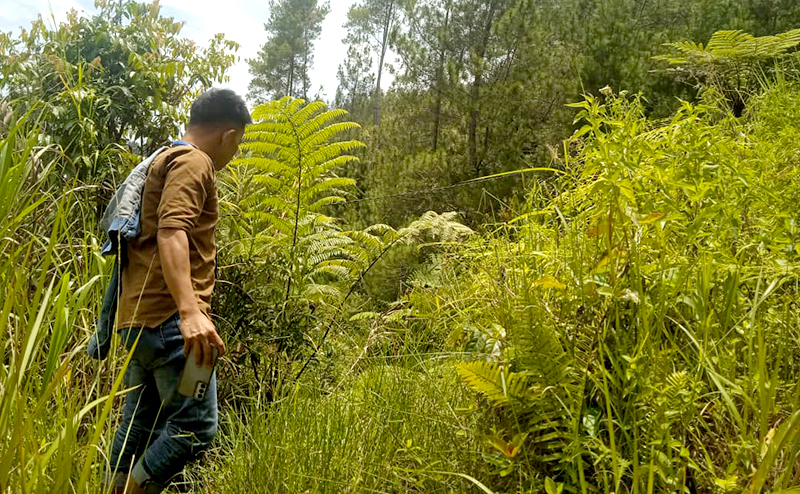 Diduga Fiktif Program Wanatani di Kecamatan Mamasa