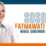 Fatmawati Rusdi (Wakil Gubernur Sulsel)
