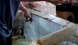 Sudah Sepekan Air Tak Mengalir di Pasar Taman Rawa Indah, DKUMPP Bontang Tak Beri Solusi.