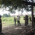 Satpol PP Kabupaten Cirebon Tertibkan PKL dan Sarpras di Sepanjang Jalur Watubelah-Sumber