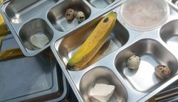 Menu Makan Bergizi Gratis